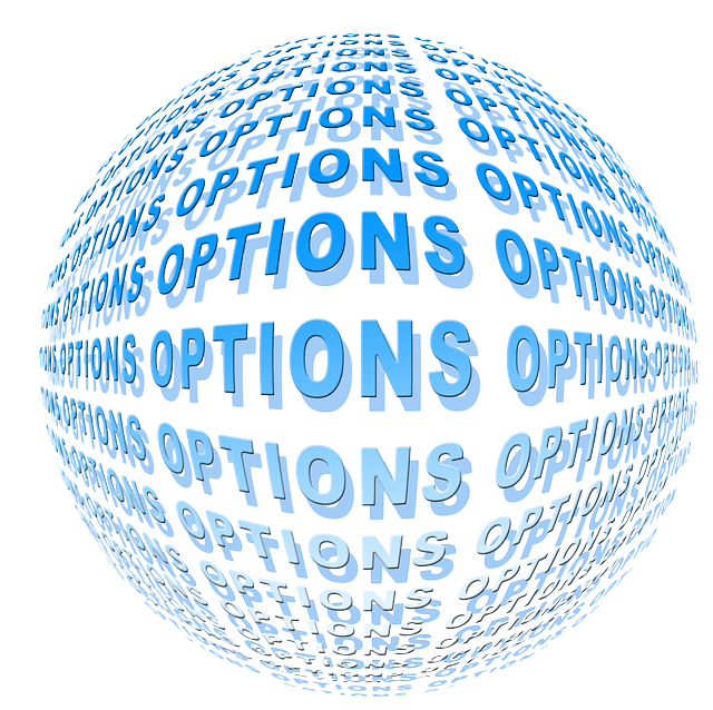 3 15 月 Excelで学ぶリアル オプションと経営戦略 事例編 金融財務研究会 経営調査研究会